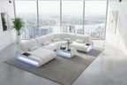 Catina Leather Curve Shape Sectional